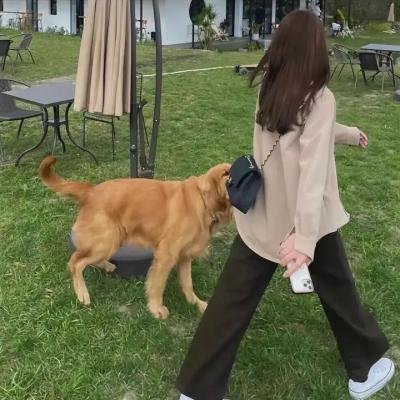 铁汉娇娃